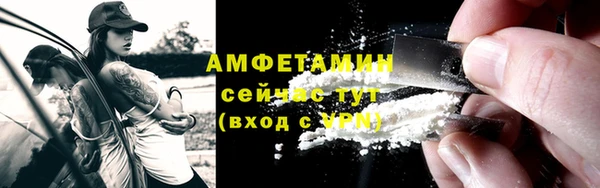 шишки Баксан
