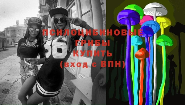 шишки Баксан