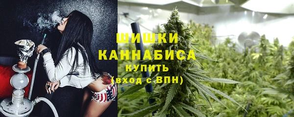 шишки Баксан