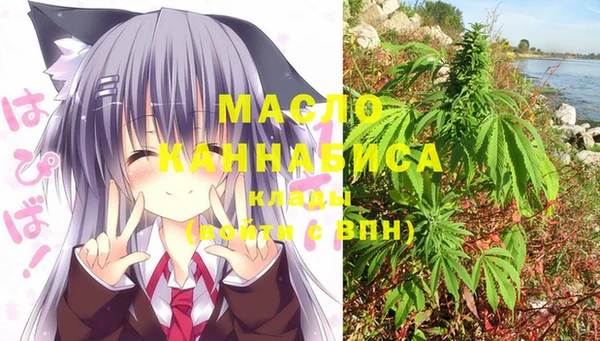 шишки Баксан